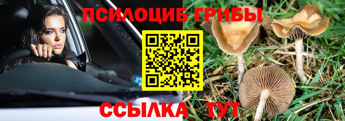 Псилоцибиновые грибы прущие грибы  Вход с VPN  Киреевск 